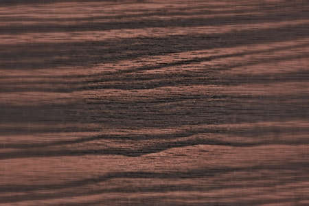 Wood texture for design and decorationの写真素材