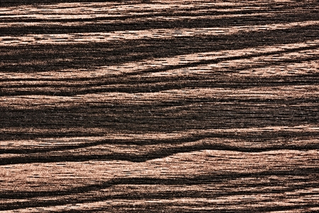 Wood texture for design and decorationの写真素材