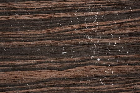 Wood texture for design and decorationの写真素材