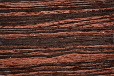 Wood texture for design and decorationの写真素材