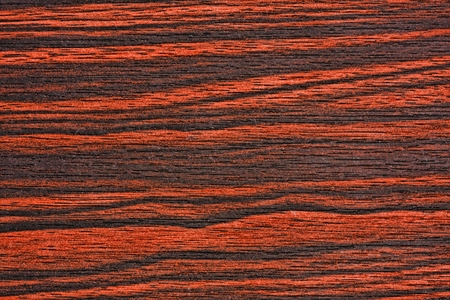 Wood texture for design and decorationの写真素材