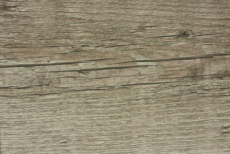 Wood texture for design and decoration backgroundの写真素材