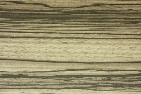 Wood texture for design and decoration backgroundの写真素材
