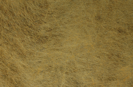 Paper mulberry close-up textureの写真素材