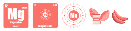 Periodic Table of element group II the alkaline earth metals Magnesiumのイラスト素材