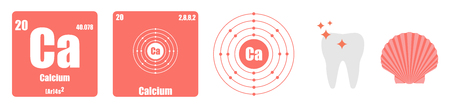 Periodic Table of element group II the alkaline earth metals Calciumのイラスト素材