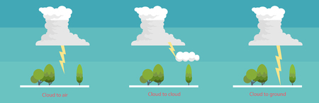 Vector seamless pattern with pine branches. Forest repeating texture. Floral background.のイラスト素材