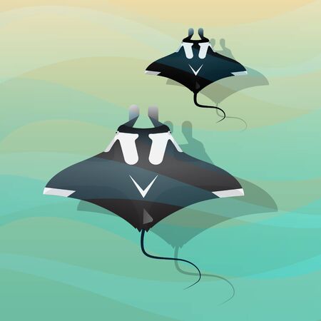 Manta Ray in ocean vector illustration style.のイラスト素材
