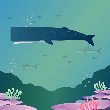 Sperm whale marine mammal in ocean vector style.のイラスト素材