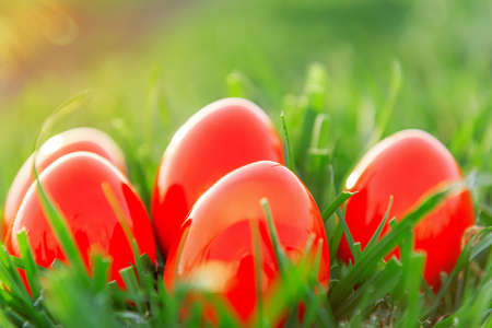 Red Easter Eggs in green grass in springの写真素材