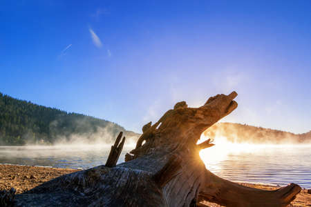 early in the morning on the river with a beautiful sunset and fogの写真素材