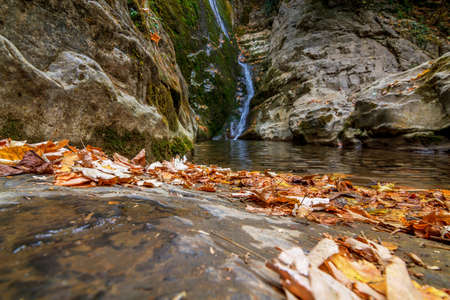 beautiful waterfall in forest autumn landscape. Beauty worldの写真素材