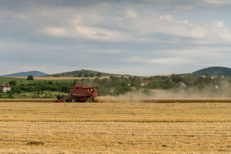 Harvester machine to harvest wheat field workingの写真素材