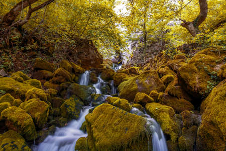 Waterfall. Colorful landscape with beautiful waterfall at mountain river in the forestの写真素材