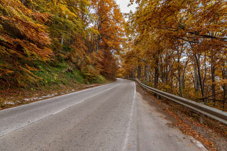 autumn road . beautiful bright autumn road landscape. red leaves on the trees.の写真素材