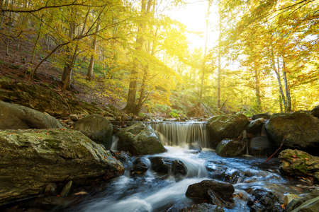 Beautiful view of a river with an waterfall in the forest.