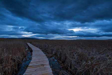 Boardwalk in marshland, Dragoman Swamp - Natural Reserve and birds habitat, Bulgaria.