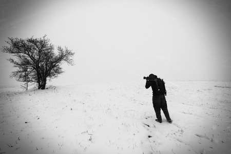 Man is shooting a tree in a mist in winter.の写真素材