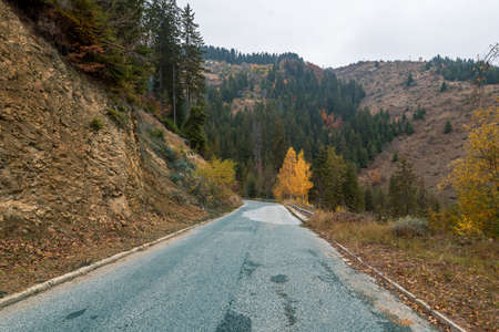 Autumn road . beautiful bright autumn road landscape. red leaves on the trees.