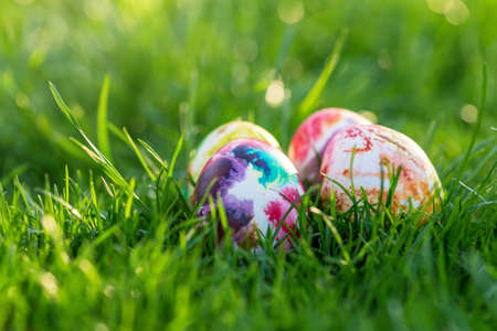 Traditionally painted Easter eggs hidden in grass.の写真素材