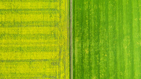 Aerial view over the agricultural fields.
