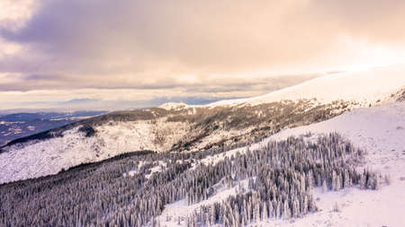 Aerial view of snow covered forest at sunset, Vitosha, Bulgaria.