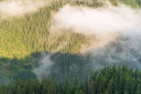 Overhead view of clouds over forest in mountains.の写真素材
