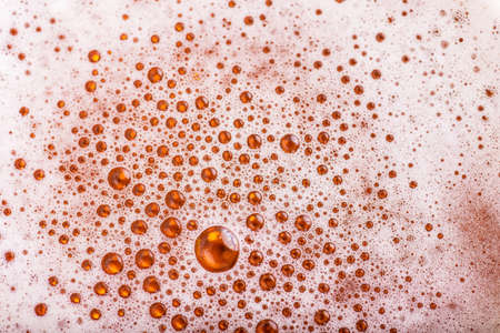 Light Beer with Bubbles and Foamの写真素材