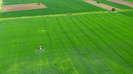 Aerial view tractor spraying the chemicals on the large green field. Spraying the herbicides on the farm land. Treatment of crops against weeds.の写真素材