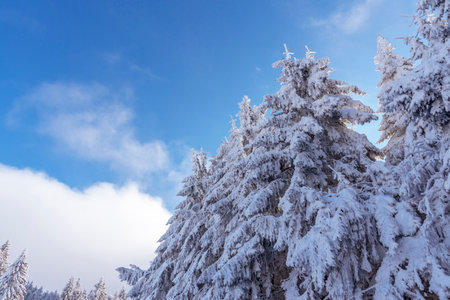 Winter landscape of Bulgarian mountains.