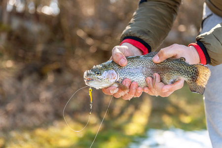 Rainbow trout caught on rotating spinner.