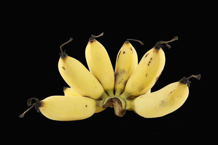 Multifunction banana plants used as food by Thai dessert. The stems and leaves. の写真素材