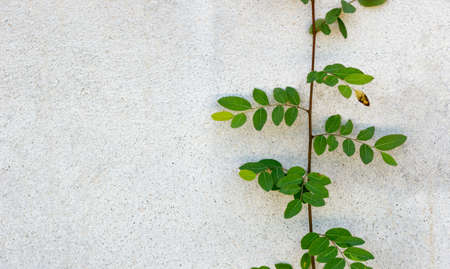 abstract, design,  texture,  art,  backdropの写真素材