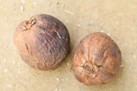coconuts