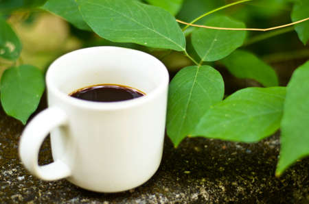 cup of espressoの写真素材