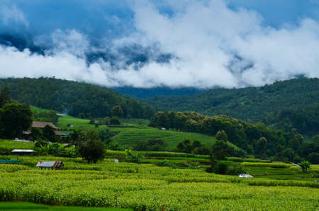 fog mountainの写真素材