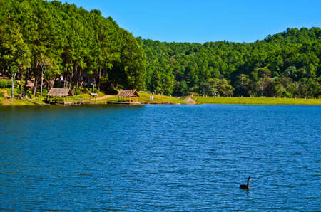 reservoir in thailandの写真素材