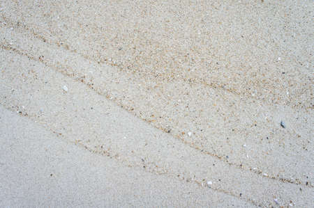 Sea wave ripple mark on sand beach, with small seashells, for background texture.の写真素材