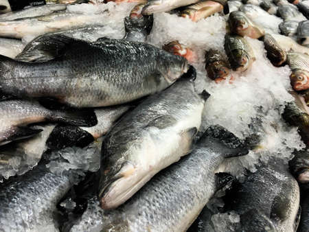 Fresh fish on ice in super market