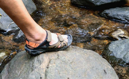 Trekking sandals on the rock in water steam, concept trekking and hiking trip.の写真素材