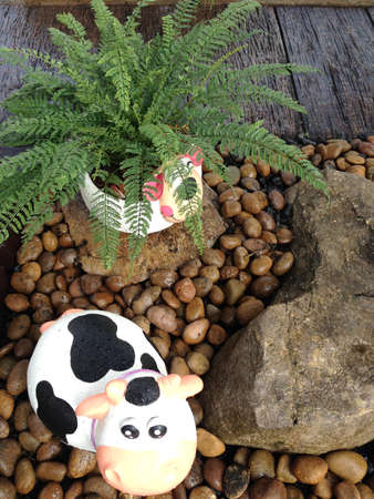Rock animal doll in the gravel garden.の写真素材