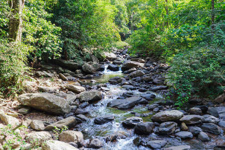 Landscape view of water stream and rock deep into the forest with sunshine beam, summer in Thailand, trekking and hiking concept.の写真素材