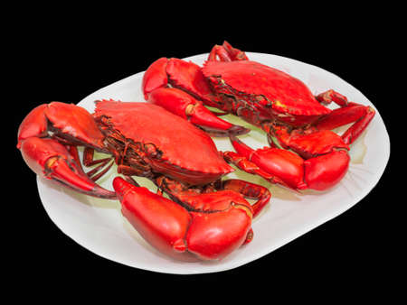 Steamed mud crab in a white plate, isolated on black background.の写真素材