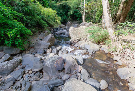 Landscape view of water stream and rock deep into the forest with sunshine beam, summer in Thailand, trekking and hiking concept.の写真素材