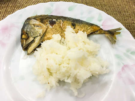 Steam rice with a fried mackerel fish in a floral plate.の写真素材