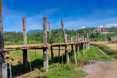 Bamboo bridge, Zutongpae Bridge, across large green rice field to the temple, northern Thailand.の写真素材