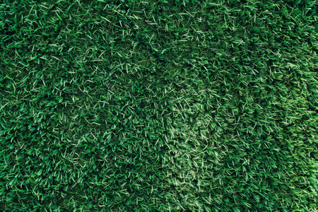 A green field of grass with a few brown spotsの素材