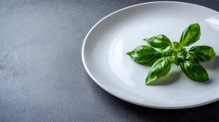 Vibrant green basil leaves are placed on a plain white plate, presenting a minimalist look against a dark surface. The arrangement highlights the freshness of the herbs.の素材