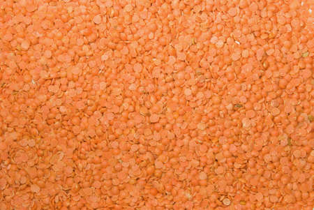 Background from red lentil seeds