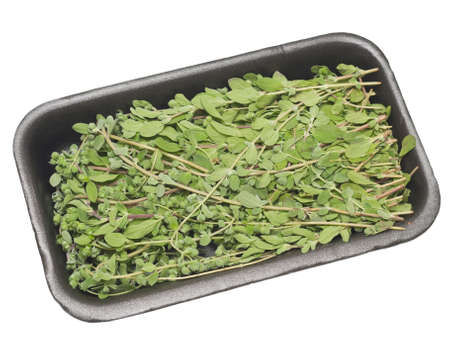 Tray of thyme on white backgroundの写真素材